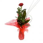 Single-Red-Rose-in-Vase-39.00.jpg